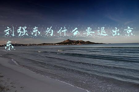 刘强东会退出京东吗(京东创始人刘强东将退出日常运营 花旗分析师称徐雷或成潜在接班人)