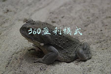 360盈利模式