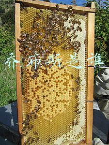 乔布斯是谁