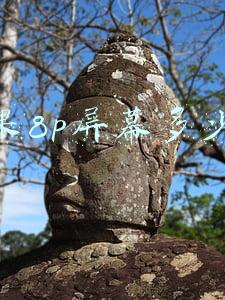 苹果8p屏幕多少寸