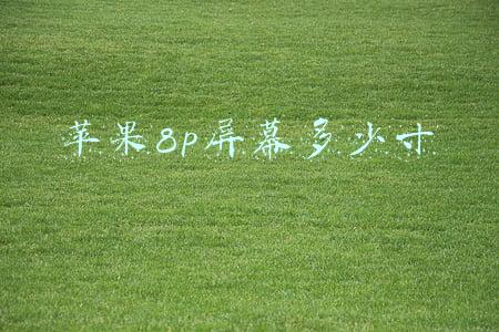 苹果8p屏幕多少寸