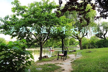 LOL新手大礼包(LOL手游峡谷新程皮肤自选礼包)