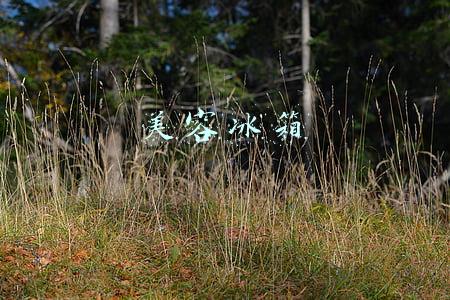 美容冰箱