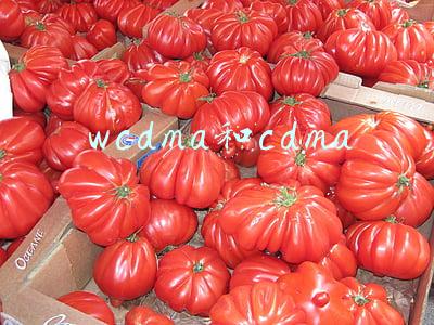 wcdma和cdma2000(回溯历史重赏之下难以产生5G核心应用)