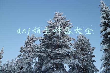dnf100级神器装备(DNF：100级传说、神器武器属性展示，有没有你喜欢的外观？)