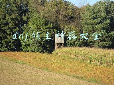 地下城之最强领主(8本已完结黑暗向西幻小说，混乱的时代，所有血火都是华丽的演出)