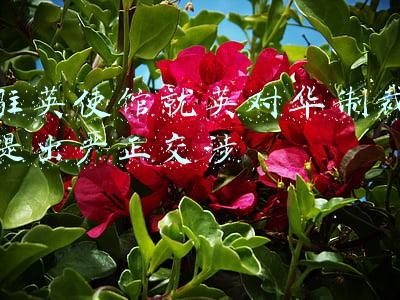 驻英使馆官网(中国驻英国使馆发布新学期平安留学提醒)