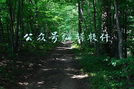 公众号编辑软件