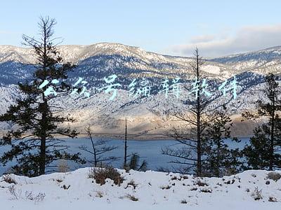 公众号编辑软件