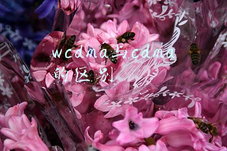 wcdma与cdma的区别