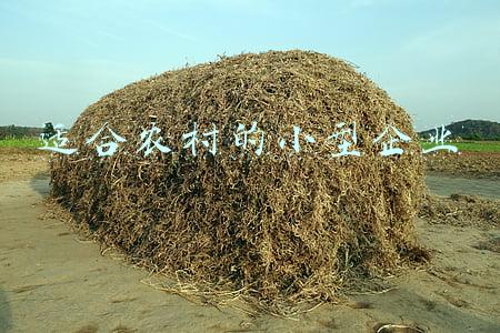 农村村办企业有哪些(我地近年新办的几家村办企业，有没有你的菜)