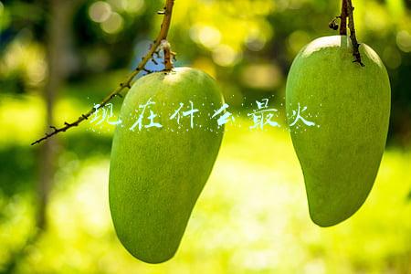 现在什么最火爆(当下最火的发型有哪些？看这里就对了，每款我都很中意)