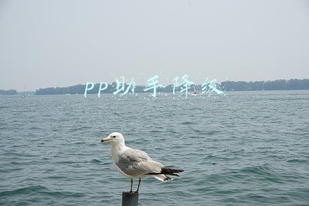 pp助手降级iphone(PP助手： TinyUmbrella重生 iPhone6降级可能有戏！)