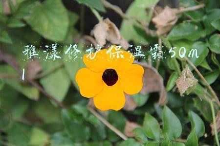 雅漾修护保湿霜50ml