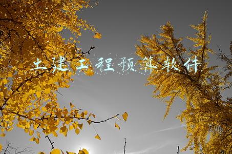 土建工程预算软件