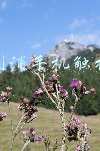 飞利浦触摸屏显示器(飞利浦发布242B9T触屏显示器：售价276美元)