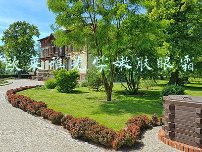欧莱雅光学嫩肤眼霜介绍(24款眼霜评测，哪一瓶能陪你熬最猛的夜？)