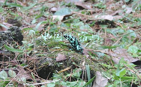 中国民宿网