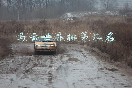 马云排第几位的世界排第几位(世界主要国家的首富分别是谁？中国的排在第几？)
