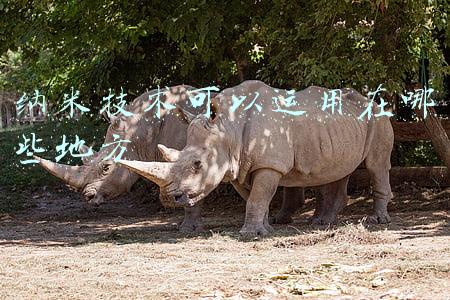 纳米技术可以运用在哪些地方 纳米技术可以运用在哪些地方