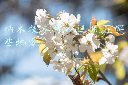 纳米技术可以运用在哪些地方 纳米技术可以运用在哪些地方