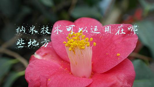 纳米技术可以运用在哪些地方想象(纳米技术可以用于哪些行业领域？)