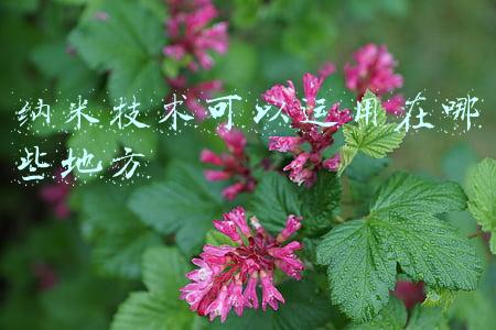 纳米技术可以运用在哪些地方,有什么用(纳米技术，到底有何用处？)