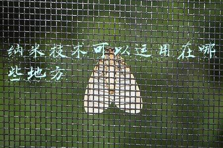 纳米技术的应用(面向未来的100项颠覆性技术创新)