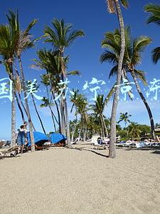 国美苏宁京东比较(家电巨头苏宁、京东已经在三大赛道布局，国美能否实现王者归来？)