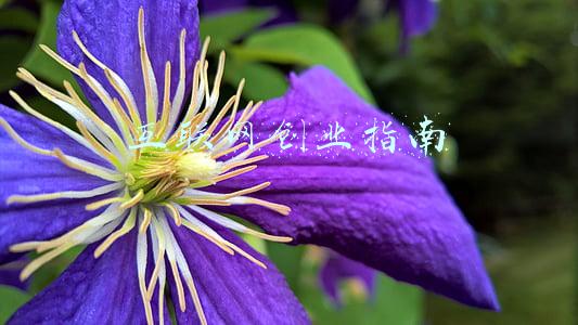 互联网平台反垄断指南(互联网平台面临着三重不利因素，反垄断只是其中一条而已)