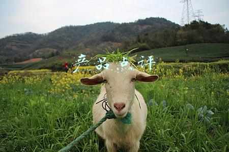 产品点评价法(医疗器械实验室：研发中心/医疗器械检测实验室装修设计 CEIDI西递)