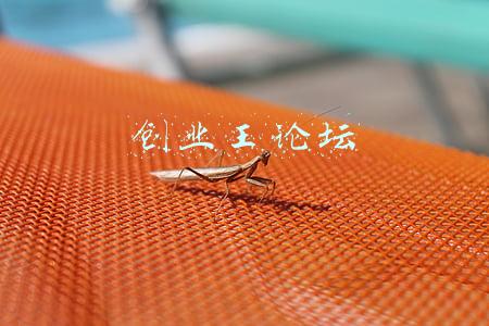 创业者论坛(中国上虞e游小镇首届创业者论坛隆重举行)