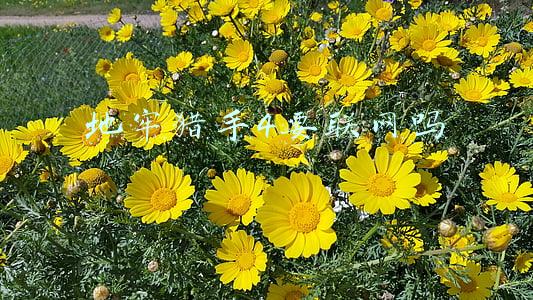 《地牢猎手4》(地牢猎手4新手快速入门技巧高玩推荐 大神指路)