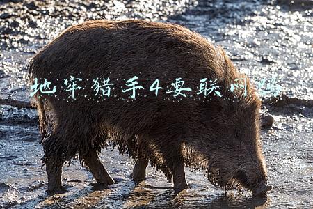 地牢猎手4ios(「iOS推荐」可媲美PC端的视觉系游戏)