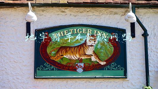 地牢猎手4电脑版(4期：《地牢猎手4》免谷歌中文无限钻石版，暗黑动作史诗RPG手游)