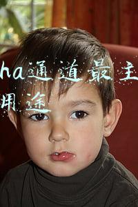Alpha通道最主要的用途是(剪映，最牛逼的几个功能咱捋一捋)