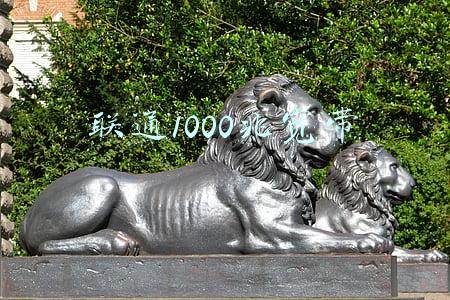 联通1000兆宽带