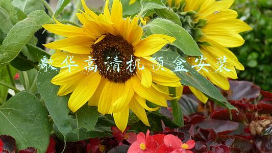 歌华高清机顶盒安装
