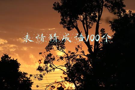 表情猜成语100个图片(超有趣看表情猜成语，真不简单！看看你能猜对几个)