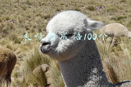 表情猜成语100个