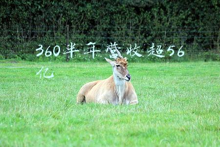 360借条逾期半年(360借条逾期一年多还不起了，可以只还本金吗？)
