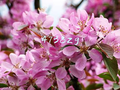 宏基4738zg(彩讯科技股份有限公司首次公开发行股票并在创业板上市网下发行初步配售结果公告)