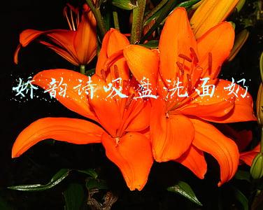 娇韵诗吸盘洗面奶全名(娇韵诗明星产品大起底！网上说的能全信吗？)