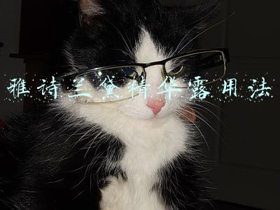 雅诗兰黛精华露用法