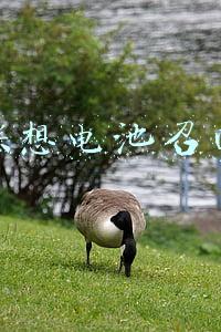 联想电池召回