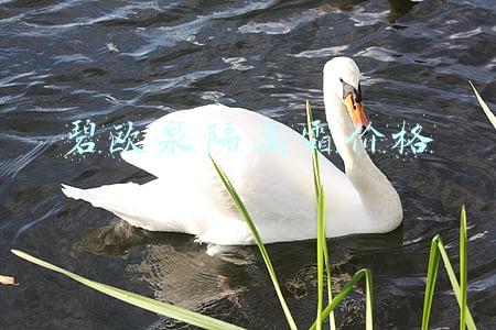 碧欧泉隔离霜价格2006年(碧欧泉男士城市防护隔离霜‖防晒好物推荐)