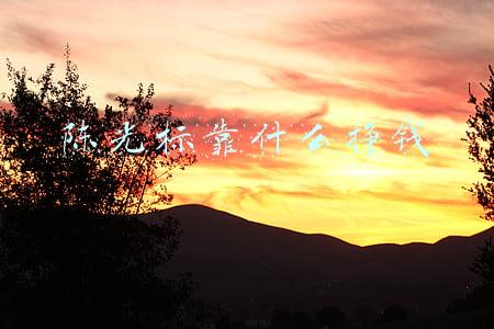 陈光标靠什么挣钱