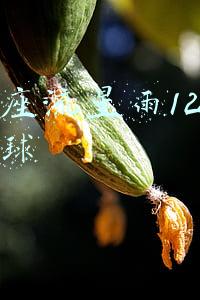 英仙座流星雨方位(为什么每年八月中旬至下旬，都会迎来绚烂的“英仙座流星雨”？)