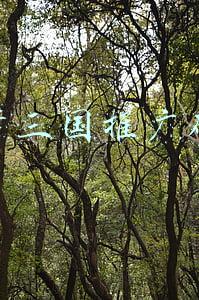 梦三国兑换码(梦三国手游礼包怎样领取 独家礼包大放送)
