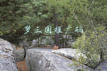 梦三国注册推广码(杭州亚运会新设电竞项目！快来看哪些项目入选)